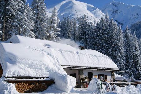 Reitherjoch Alm, 1500 m - Seefeld