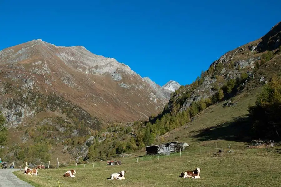 Weg zur Boderalm im Virgental