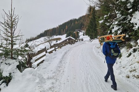 Naturrodelbahn Kreuztaxen am Wattenberg