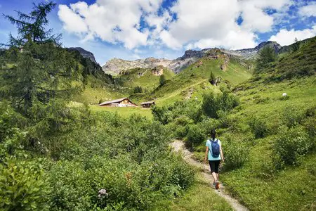 Die Naviser Almenrunde - kulinarische Reise von Alm zu Alm