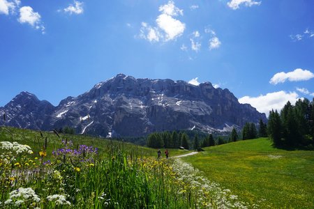 Armentara-Runde von Wengen