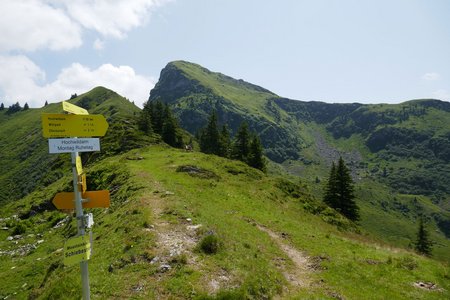 Wildpark-Gebrajoch-Runde von Unteraurach