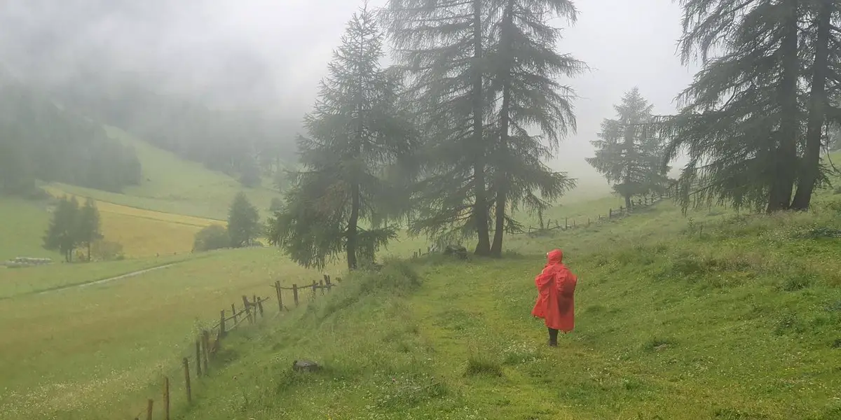 Wandern bei Regen im Vintschgau mit Bergwanderführer Andreas Pittl