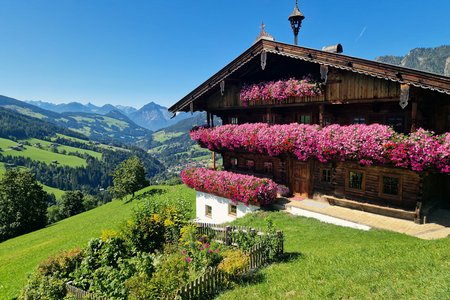 Alpbacher Panoramatour