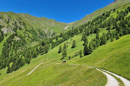 MTB-/E-Bike-Rundtour: Pfunds – Kobler Alm – Gstalda - Pfunds