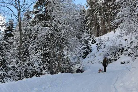 Auffang Alm - Naturrodelbahn