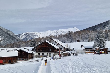 Sattelbergalm - Naturrodelbahn