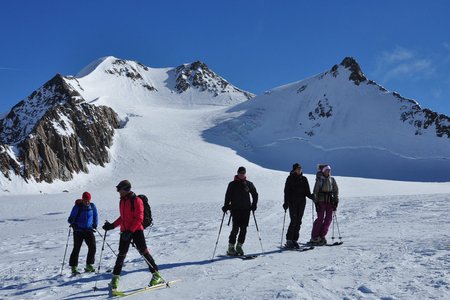 Wildspitze, 3774 m - Skitour vom Mittelbergjoch