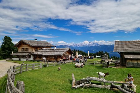 Wanderung zur Mair in Plun Hütte von der Gasserhütte