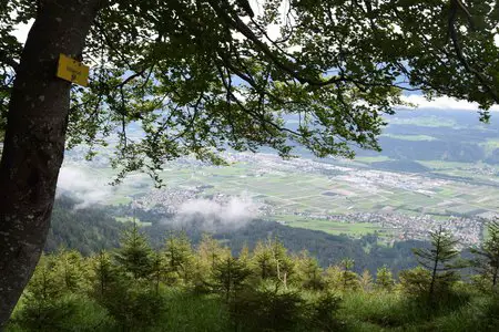Vintlalm – Rumer Alm Rundwanderung