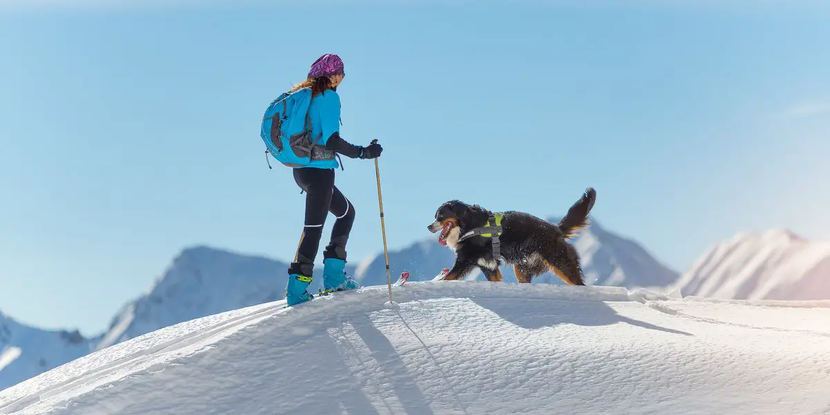 Mit Hund im Schnee