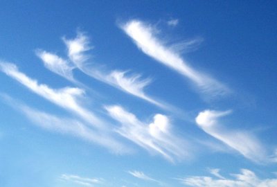 Cirrus Wolke (c) Wikipedia CC BY-SA 3.0 - https://commons.wikimedia.org/w/index.php?curid=121109
