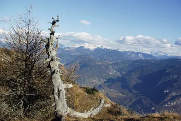 Südtiroler Unterland, Kaltern, Eppan