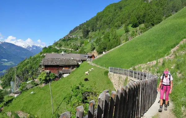 Am Meraner Höhenweg