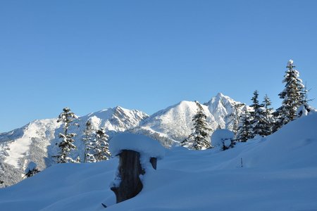 Brunschkopf-Möserer Mähder Rundtour