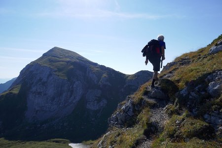 Rappenspitze - Überschreitung von der Falzthurnalm