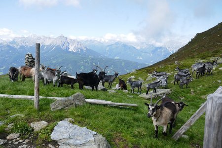 Aus dem Arztal ins Viggartal – Kleine Tälerüberschreitung