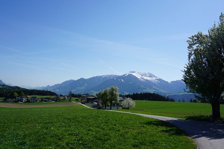 Schloss Thierburg – Larchtal Rundwanderung