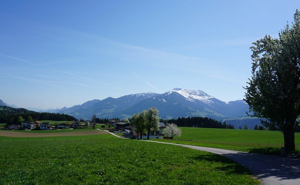 Schloss Thierburg – Larchtal Rundwanderung