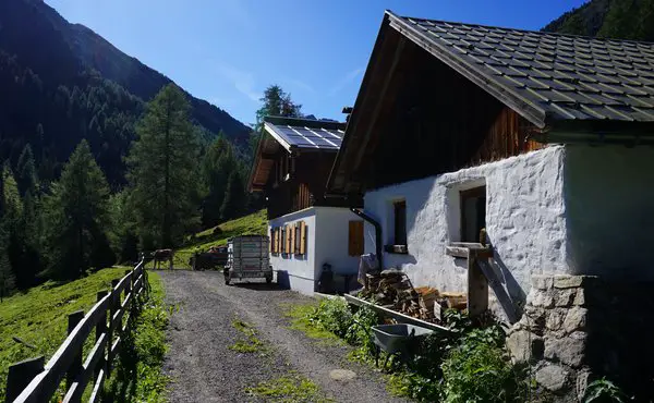 Vordere Wennerberg Alm von Wald