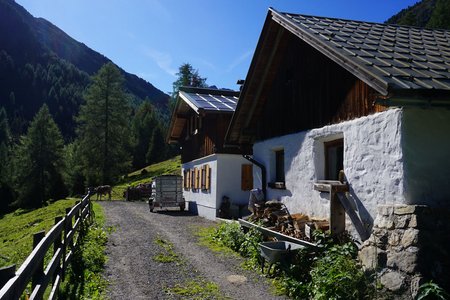 Vordere Wennerberg Alm von Wald