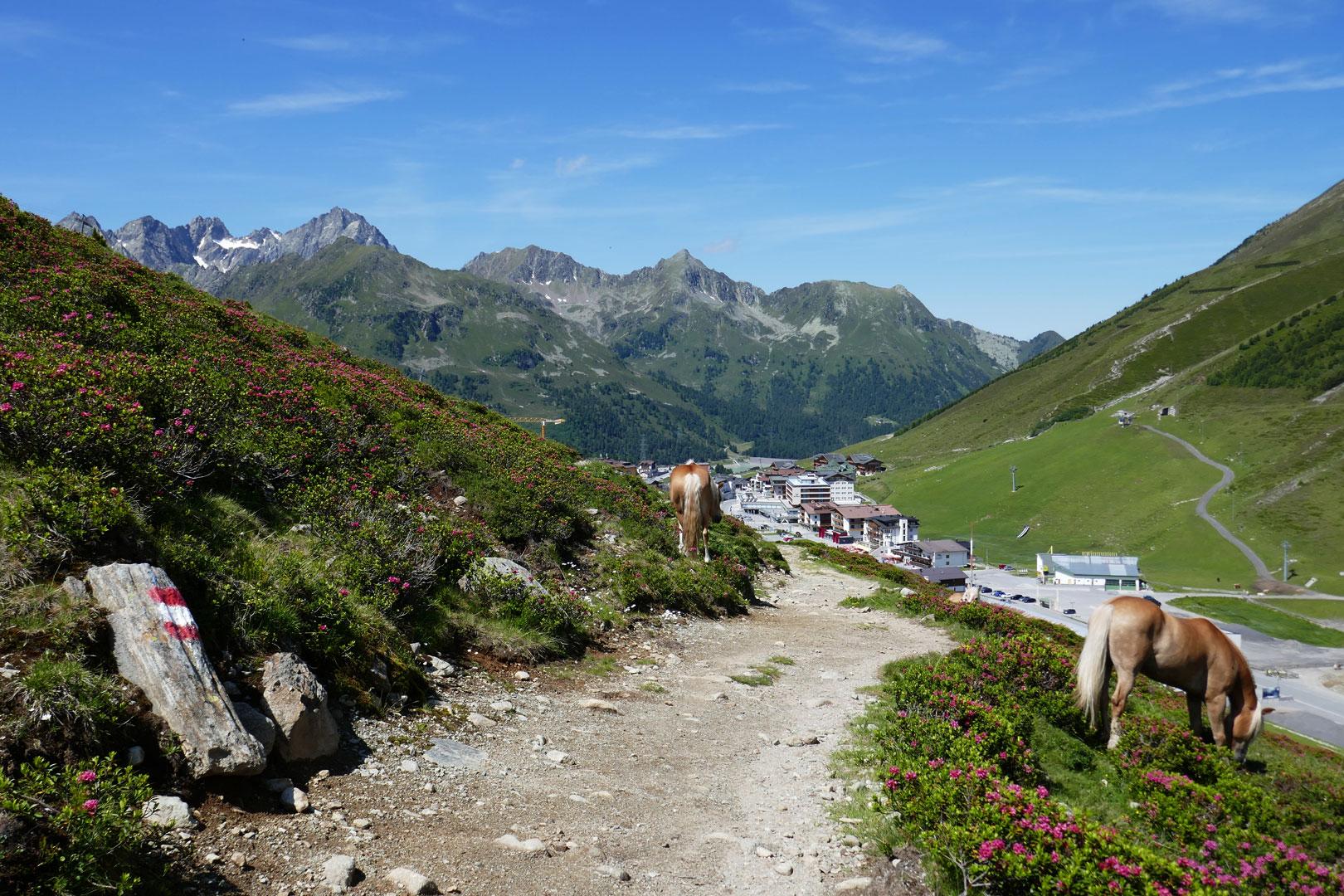 Bergseen in Österreich: 5 unvergessliche Ausflugsziele