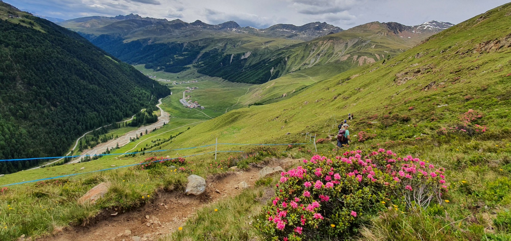 Alpenrosen Dreiländereck geführte Wanderung wanderbar