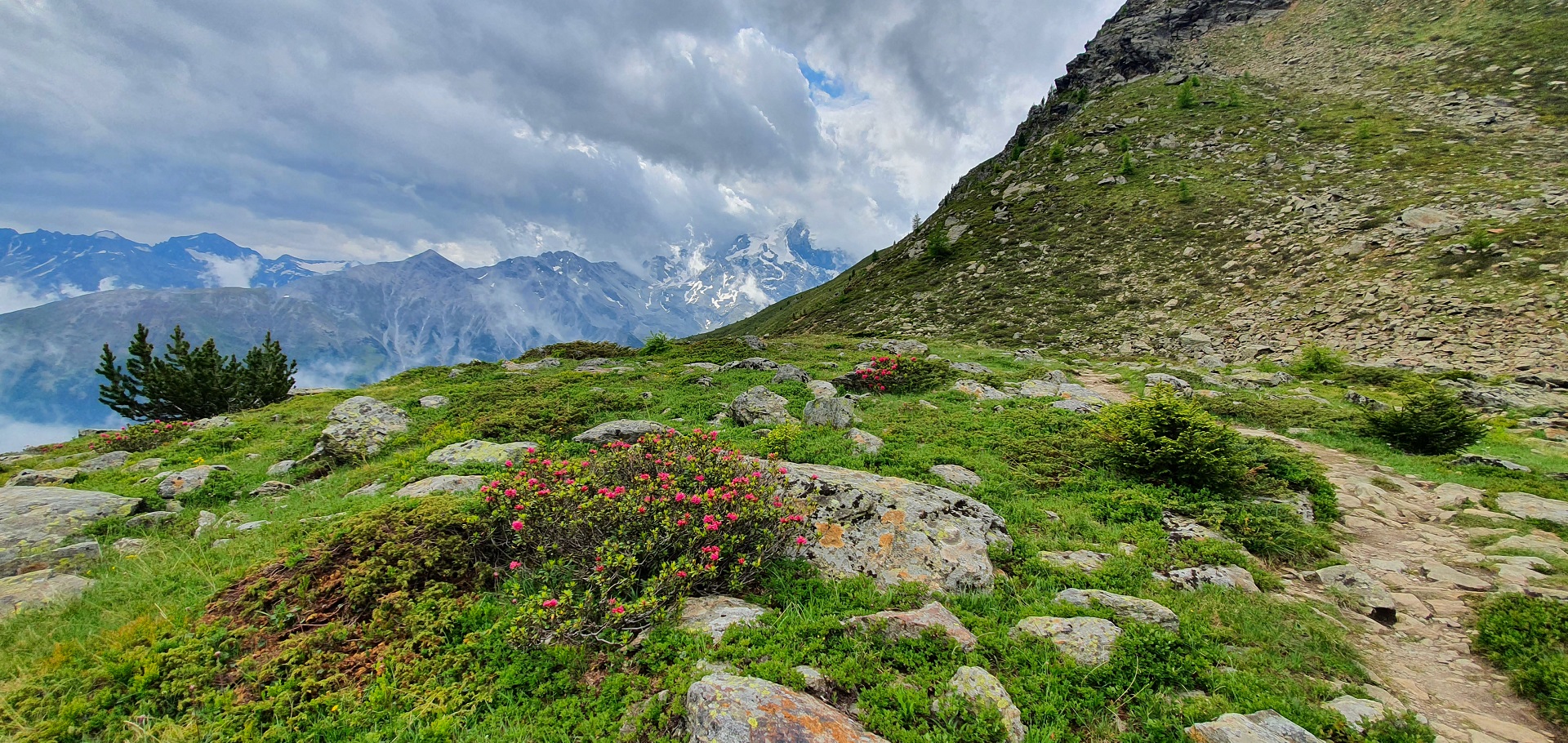 wanderbare höhenweg weitwanderwoche südtirol