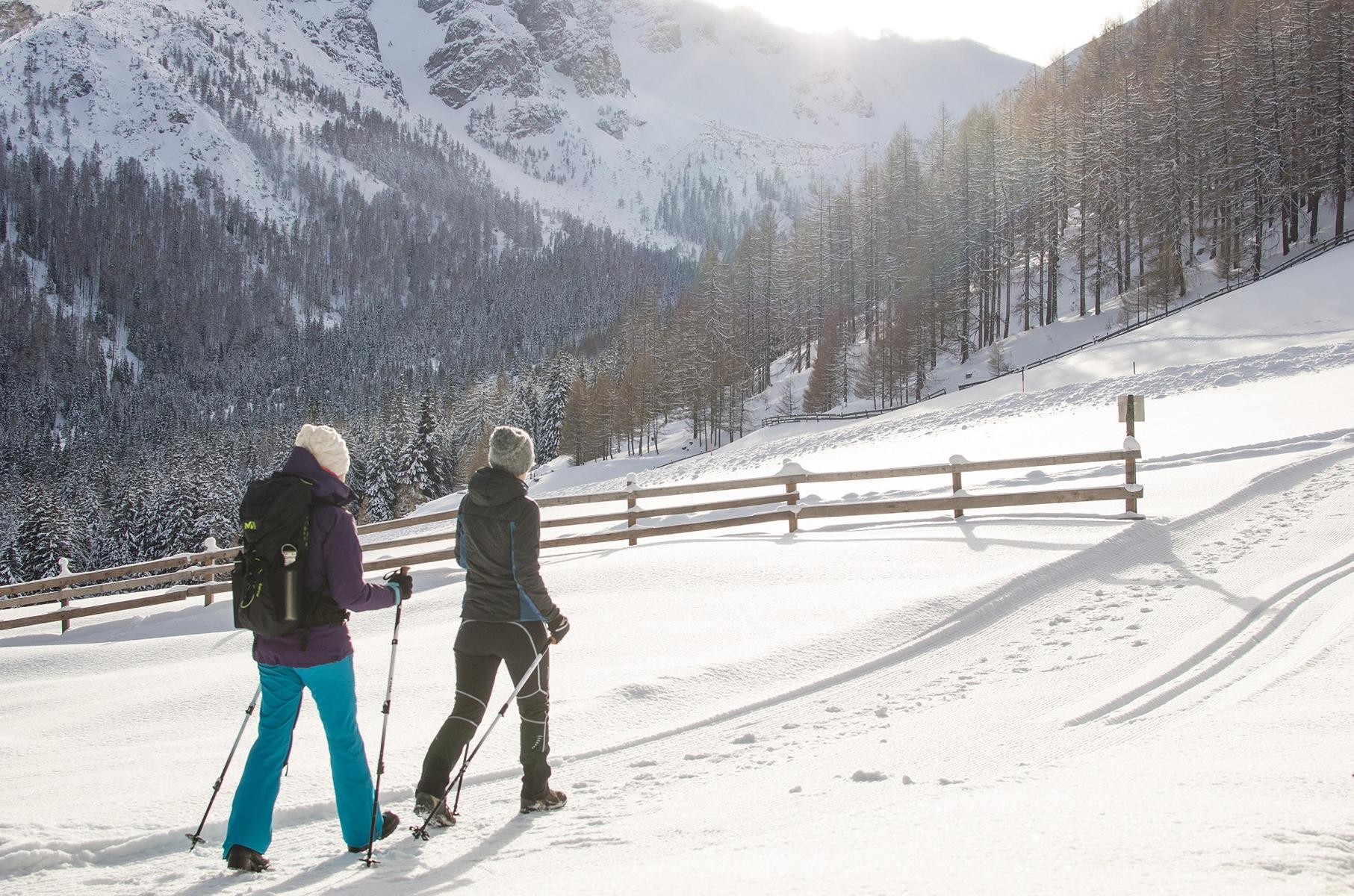 winterwandern bergwelt tirol, wipptal