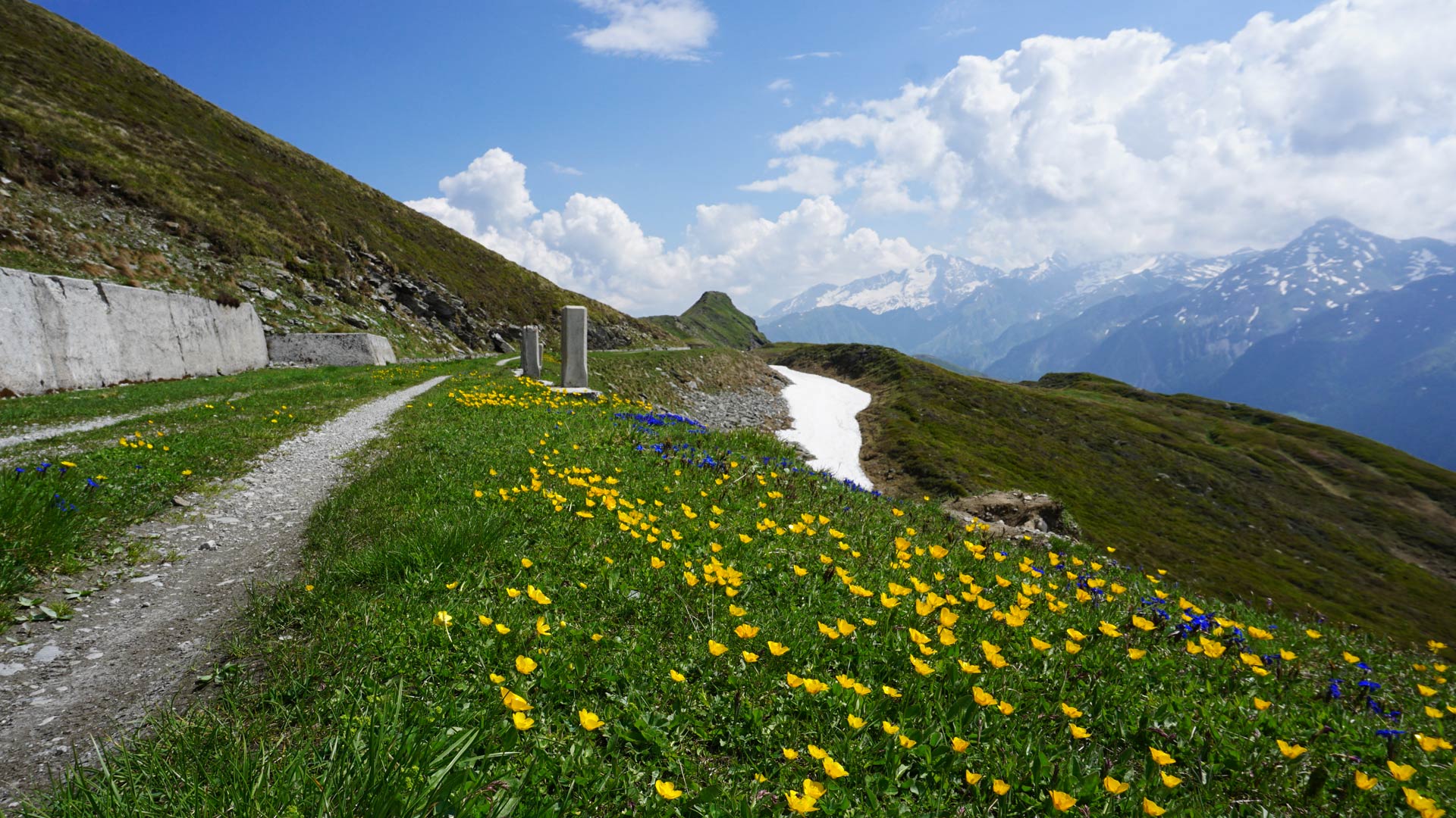 MTB-Tour: Brenner – Grenzkammrunde vom Brenner-Ort