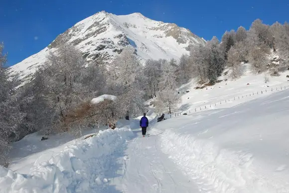 Rodelbahnen-Regionen in Osttirol