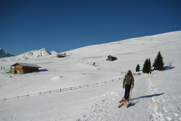 Rodelbahnen-Regionen in Südtirol