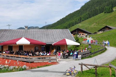 Alpengasthof Schönangeralm - Wildschönau