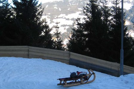 Gasthaus Goglhof - Naturrodelbahn