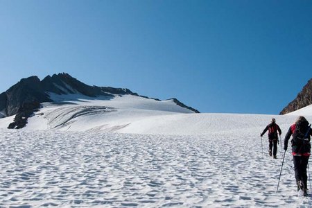 Falschungg Spitze (3361 m) vom Hochwildehaus