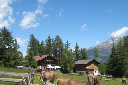 Wurzbergalm Rundwanderung