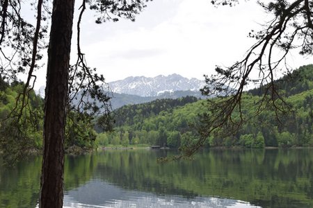 Hechtsee-Rundwanderung von Kiefersfelden