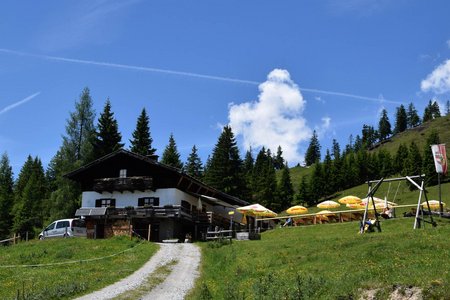 Pichlalm (1434 m) von Hinterthal