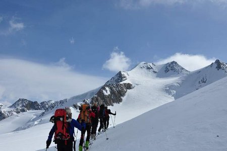 Wildspitze (3774 m) von der Vernagthütte