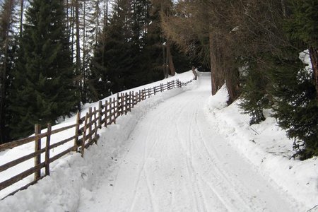 Freund Alm / Atscherwiesen - Naturrodelbahn