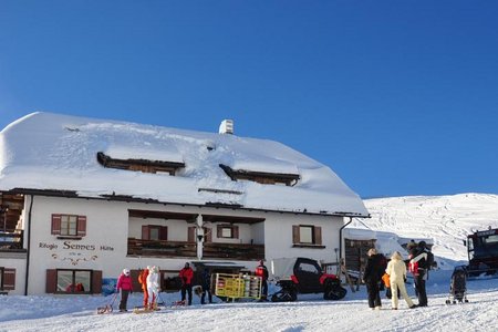 Senneshütte - Naturrodelbahn