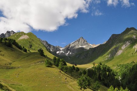 Schmiedler Alm - Nilltal Rundwanderung