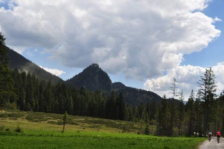 Rund um den Hirschberg mit Buchsteinhütte