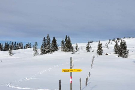 Schatzberg (Hahnkopf) - Joelspitze Rundtour