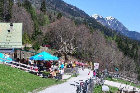 Arzler Alm vom Löwenhaus-Innsbruck