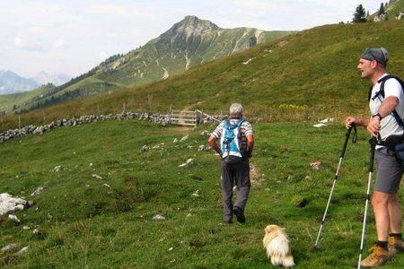 Hochplatte (1813 m) von Achenkirch