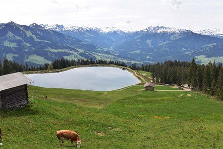 Rundwanderung Salvensee - Rigi - Mittelstation