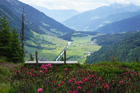 Hoher Nock Umrundung mit Stadlalm