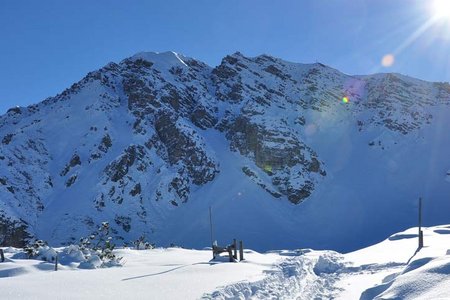 Nockspitze (2404 m) über Birgitzer Alm