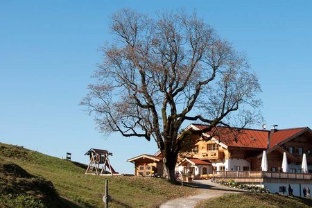 Asching - Aschinger Alm